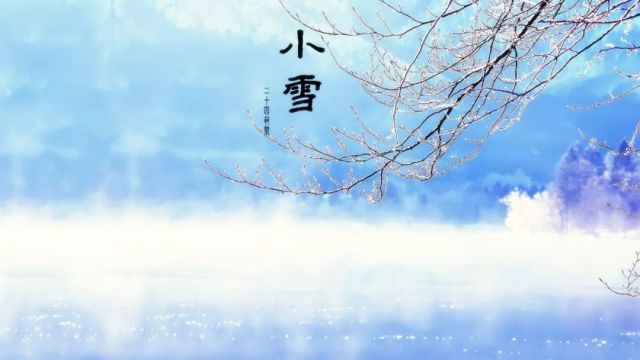 綠蟻新醅酒中的綠蟻指_綠蟻新醅酒后一句_綠蟻新醅酒的綠蟻是指