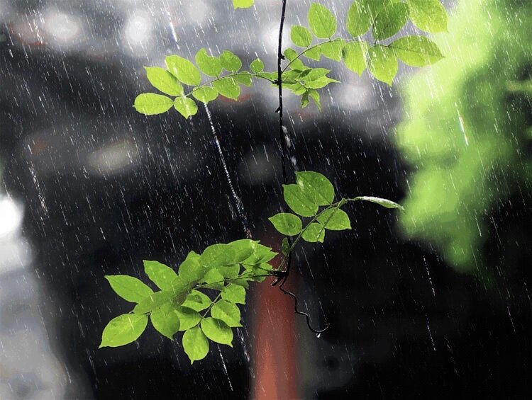 清明時節雨紛紛路上行人欲斷魂的意思_時節雨紛紛行人欲斷魂_時節清明時節雨紛紛