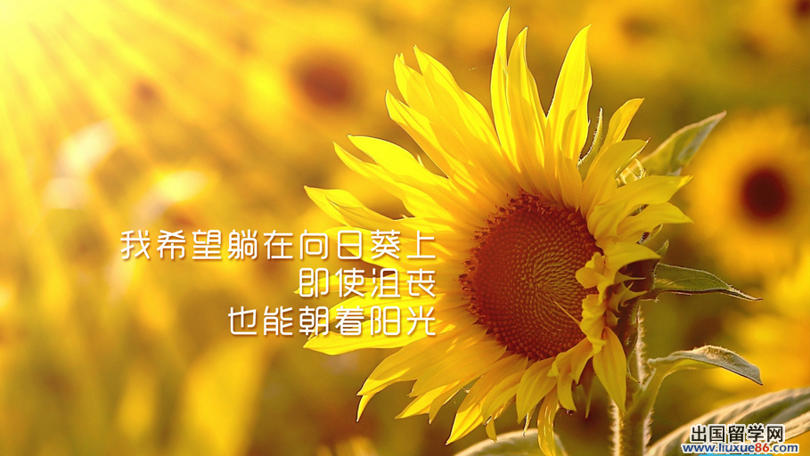 2014年高考作文河南_2014河南高考作文題目_河南高考作文2018