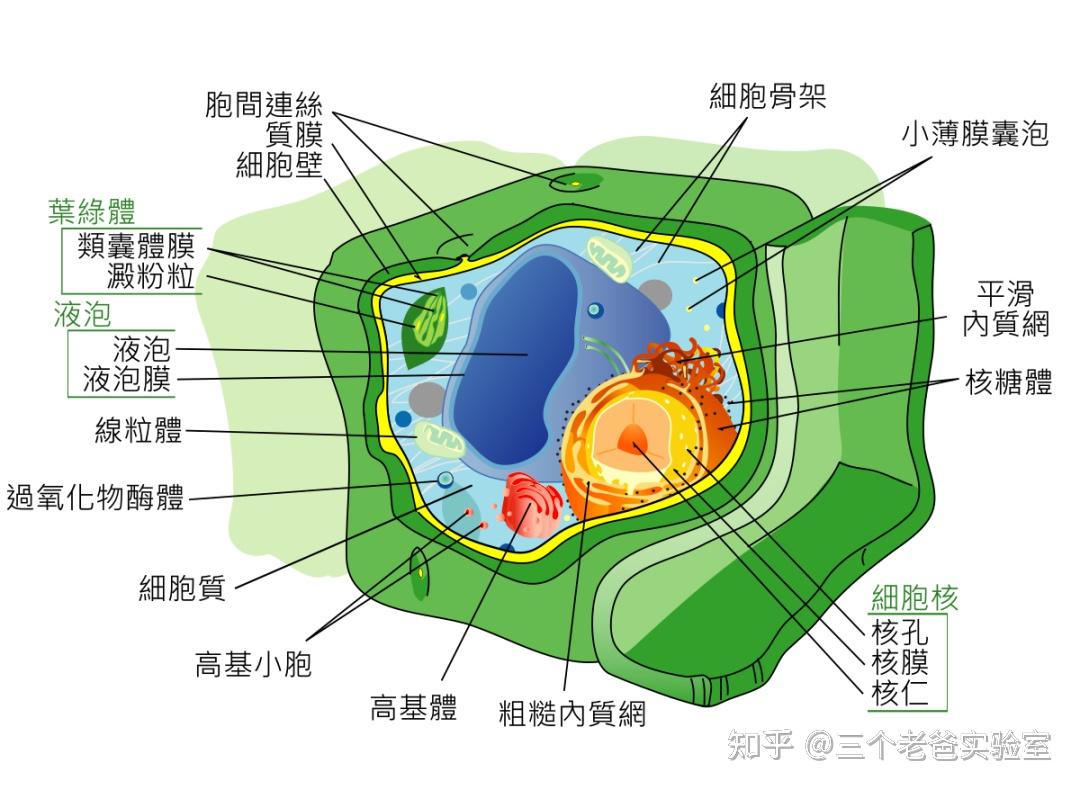 物理變化化學變化有什么區別_物理變化和化學變化的區別_物理變化化學變化的本質區別