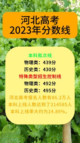 河北高考一分一檔2023_高考河北分數(shù)線2023_高考河北分數(shù)線