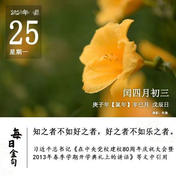 無淡泊以明志無寧靜以致遠_非淡泊無以明志 非寧靜無以致遠_寧靜致遠淡泊明志是成語嗎