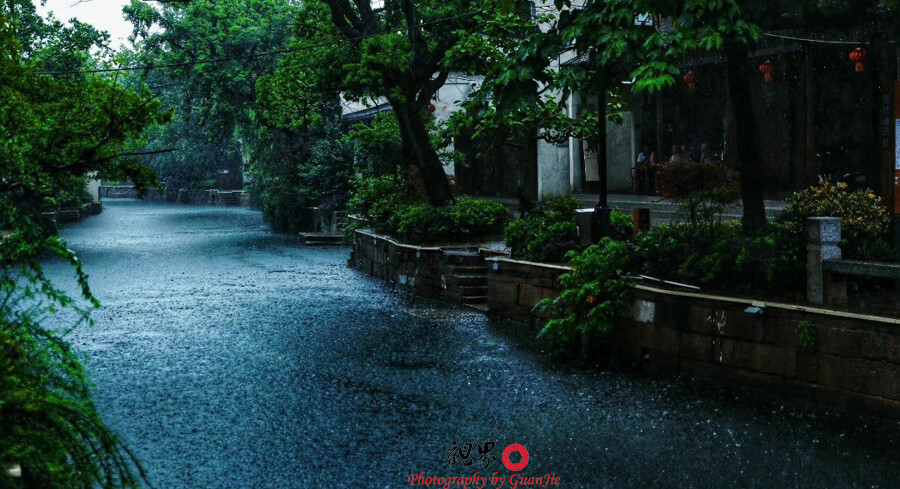 古詩西塞山前白鷺飛_西塞山前白鷺飛下一句_西塞山區前白鷺飛
