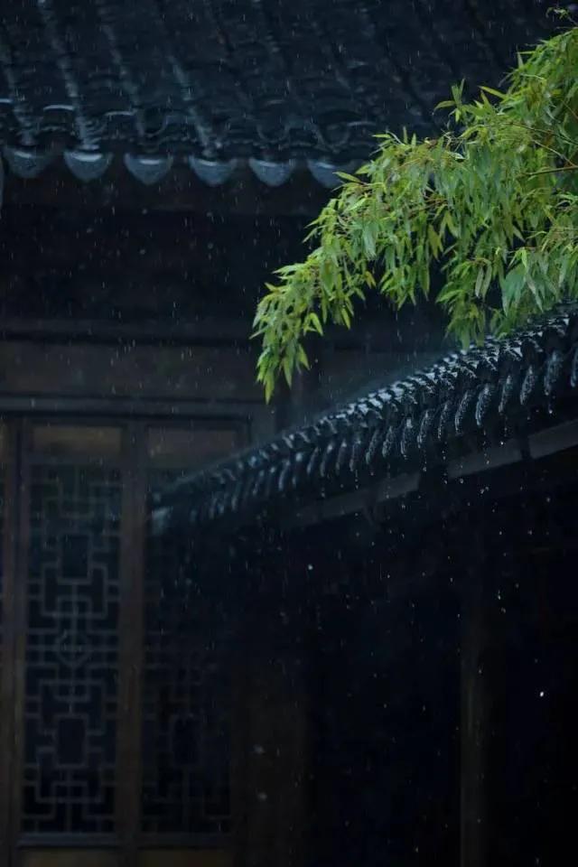古詩西塞山前白鷺飛_西塞山前白鷺飛下一句_西塞山區前白鷺飛