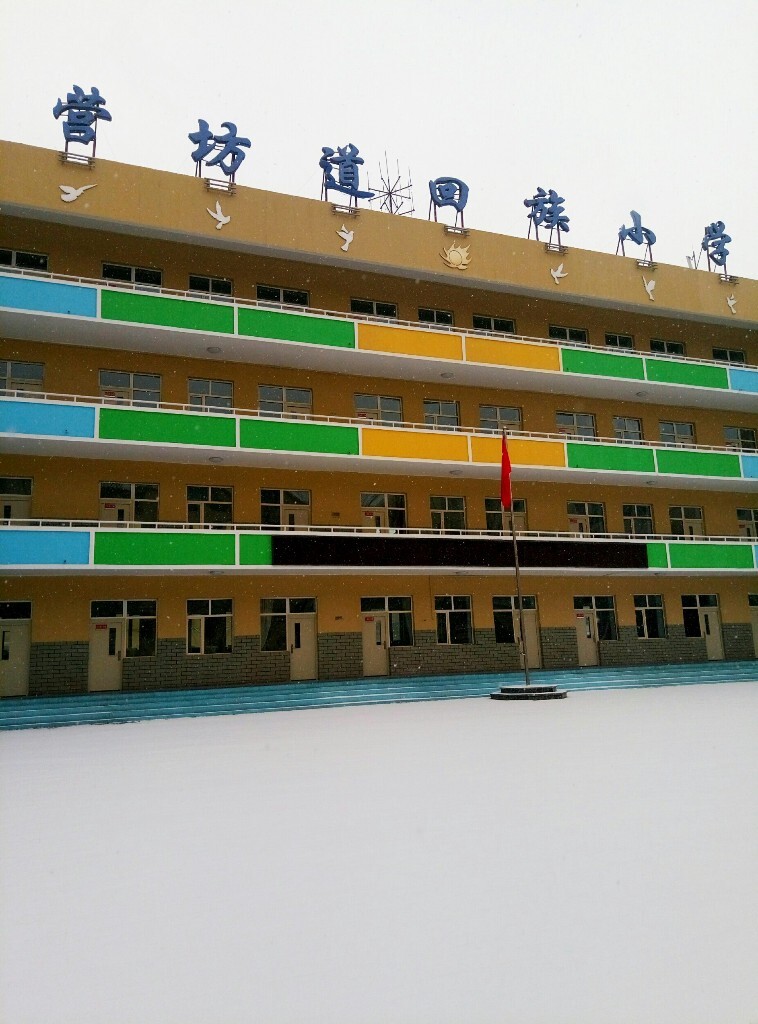 小學升初查詢成績_小升初成績查詢網站入口2022_網上成績查詢小升初