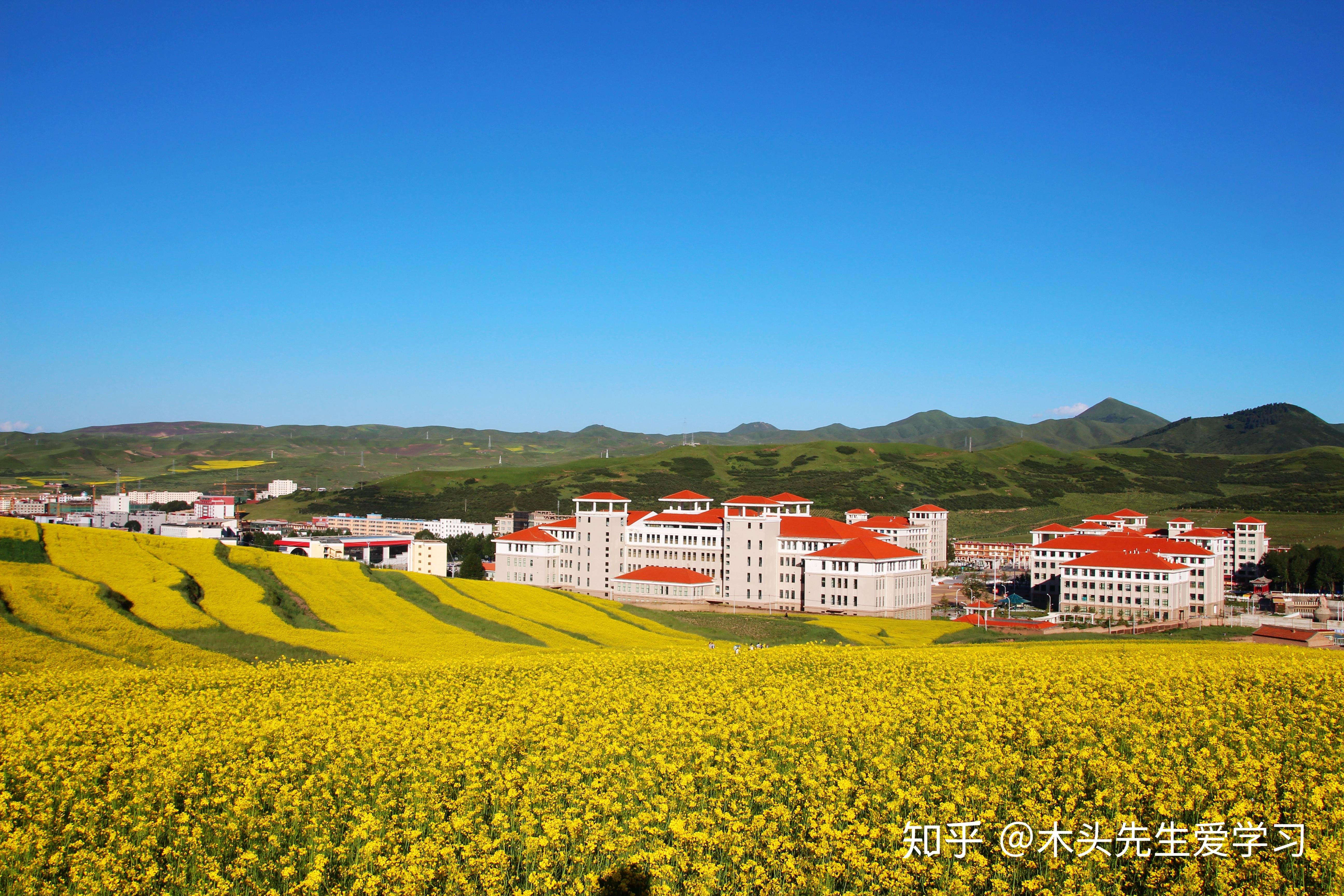 重慶師范大學是一本還是二本_重慶的師范大學二本_重慶師范二本學校