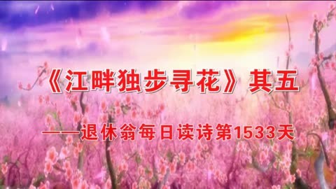 江畔獨步尋花這首詩_《江畔獨步尋花》詩詞及譯文_江畔獨步尋花的詩意和譯文