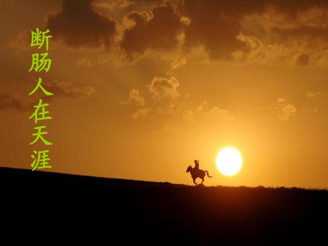 西江月夜行黃沙道中譯文_西江月夜行黃沙道中譯文_西江月夜行黃沙道中譯文