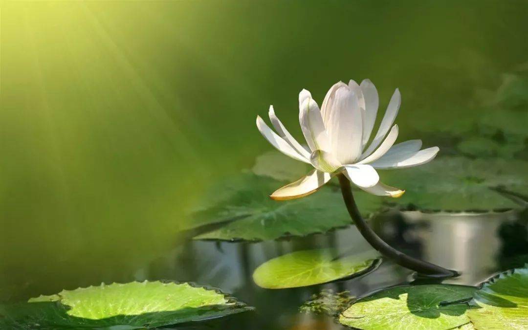 懼怕意思相近的詞語_怕懼的意思_懼怕的意思
