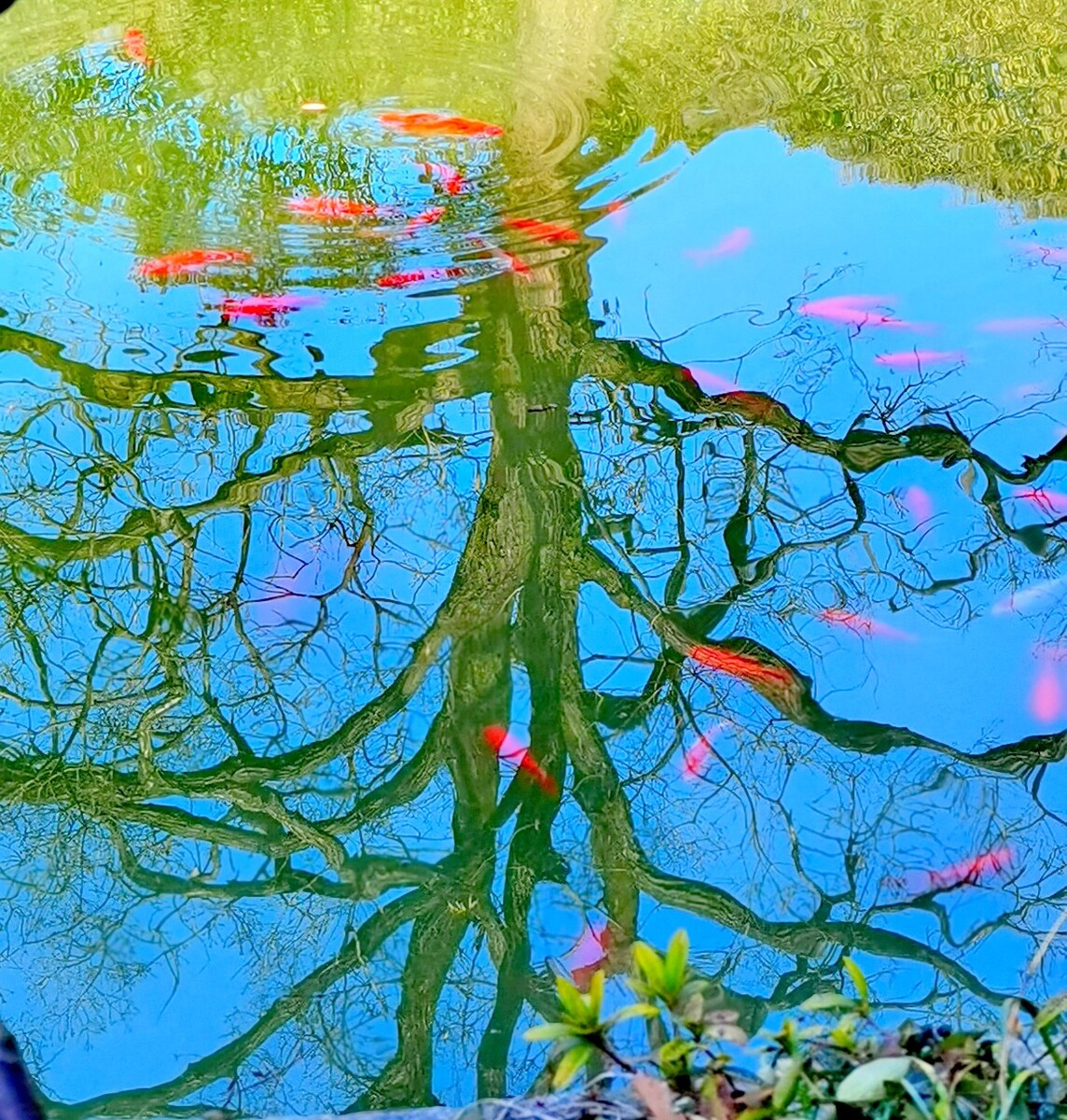 授人以魚不如授人以漁_授人以漁授人漁_授人于魚是什么意思