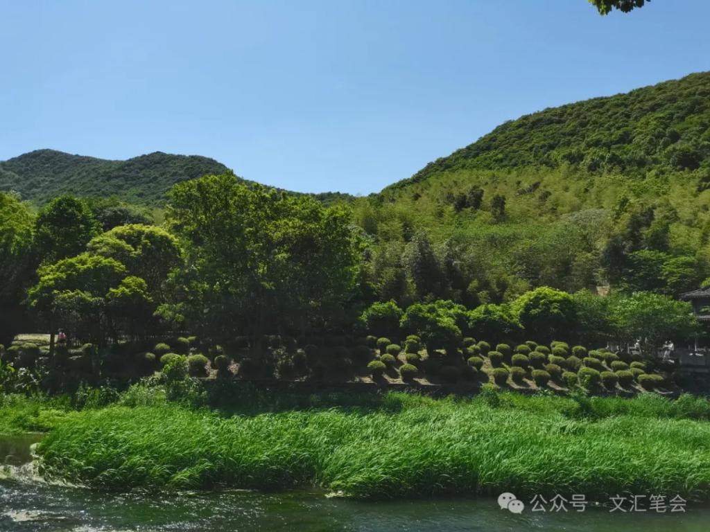 柳絮意思的詞語_未若柳絮因風起的意思_柳絮意思是什么