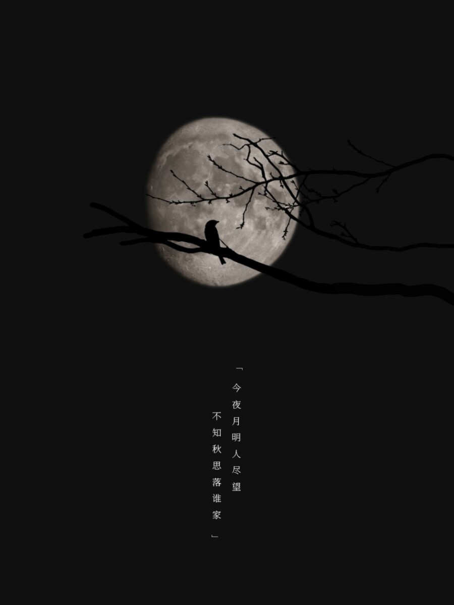 十五夜望月翻譯_十五夜望月原文及翻譯_15夜望月古詩翻譯