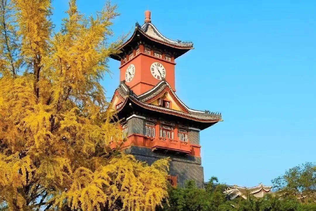 川大教務處本科登陸_四川大學本科教務系統_四川教務處