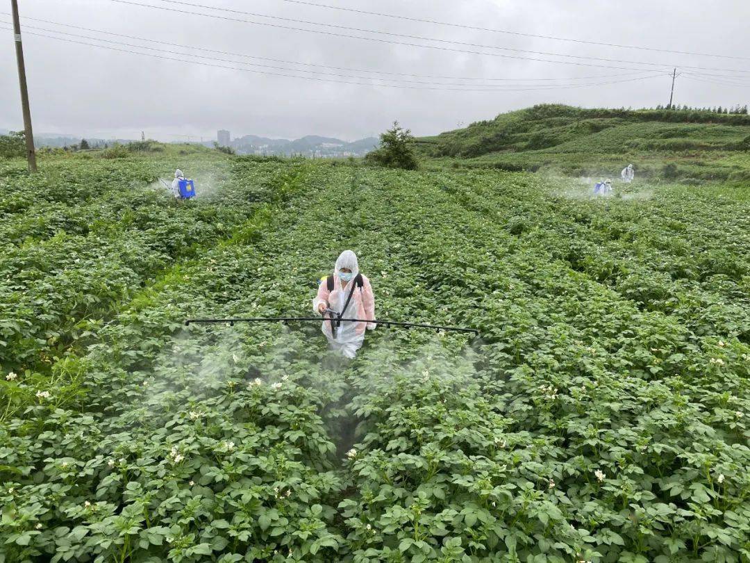 貴州教務系統_貴州教務系統管理系統登錄_貴州大學教務處