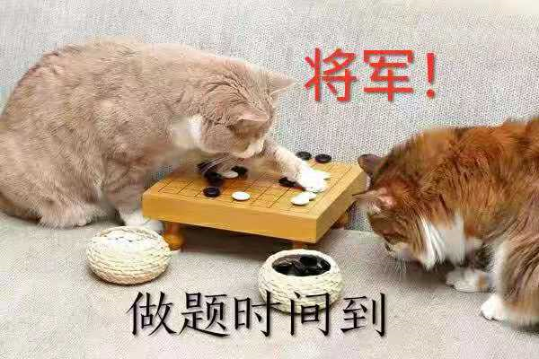 意思是的英文_意思是誰發現的_pitch是什么意思