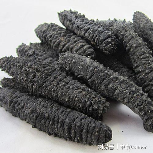 報檢員考試官網_報檢員考試網_2020報檢員考試報名官網