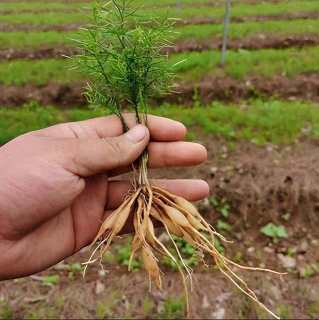 亳州師專教務處_亳州教務系統登錄入口_亳州學院教師