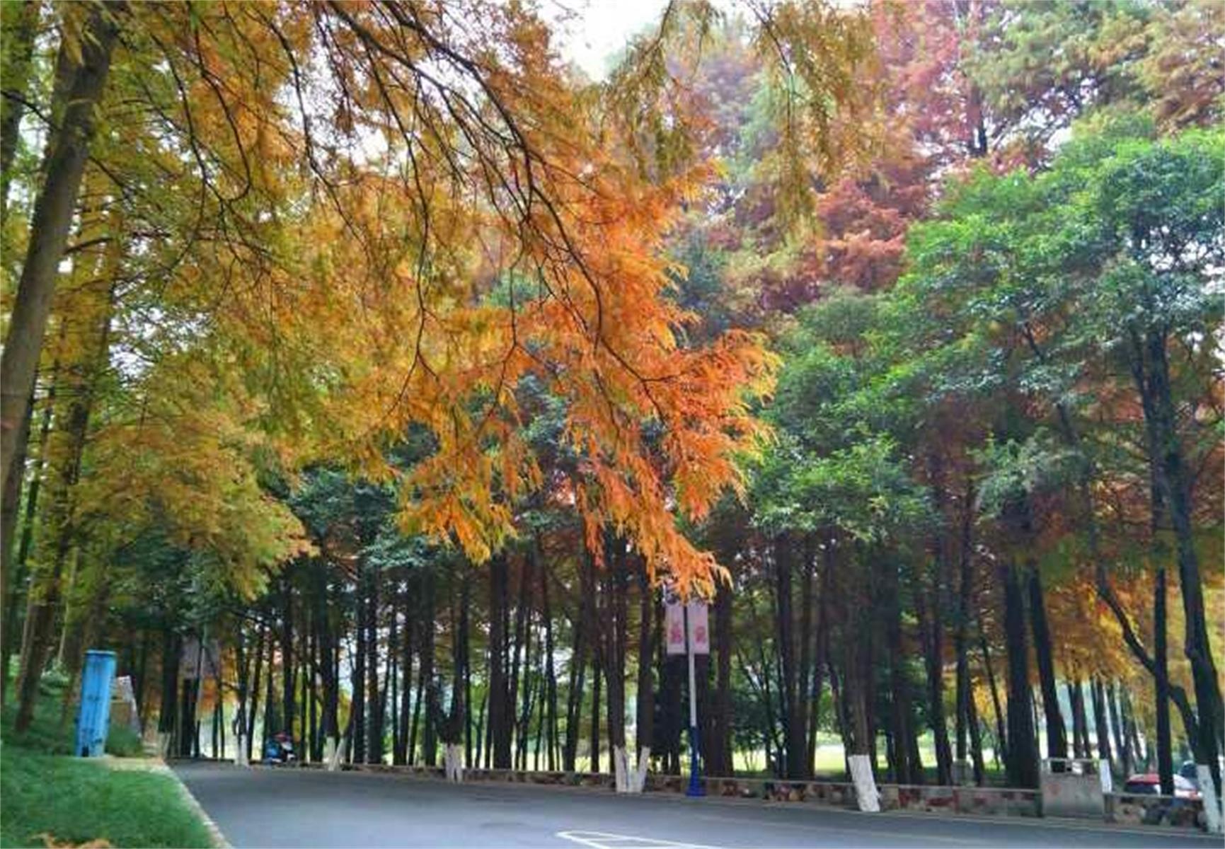 華銳學(xué)院_華銳學(xué)院是私立學(xué)校嗎_華銳學(xué)校