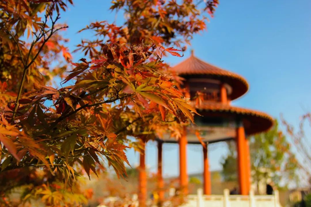 華銳學(xué)院_華銳學(xué)院是私立學(xué)校嗎_華銳學(xué)校