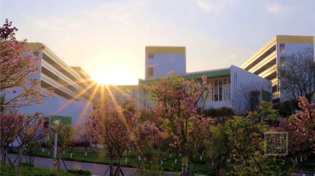 東南大學自主招生簡章_東南大學自主招生2020簡章_東南大學自主招生簡章2021