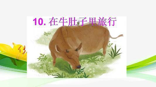 置組詞是什么_置組詞是什么和拼音_置組詞是什么有哪
