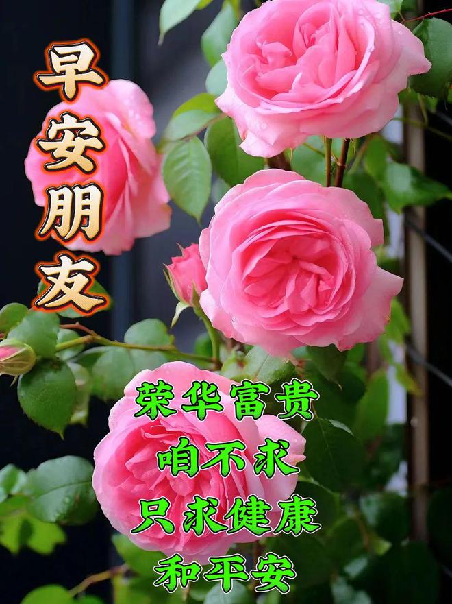 濰坊市幼兒師范學校_濰坊師范幼兒學校官網_濰坊幼兒師范學校