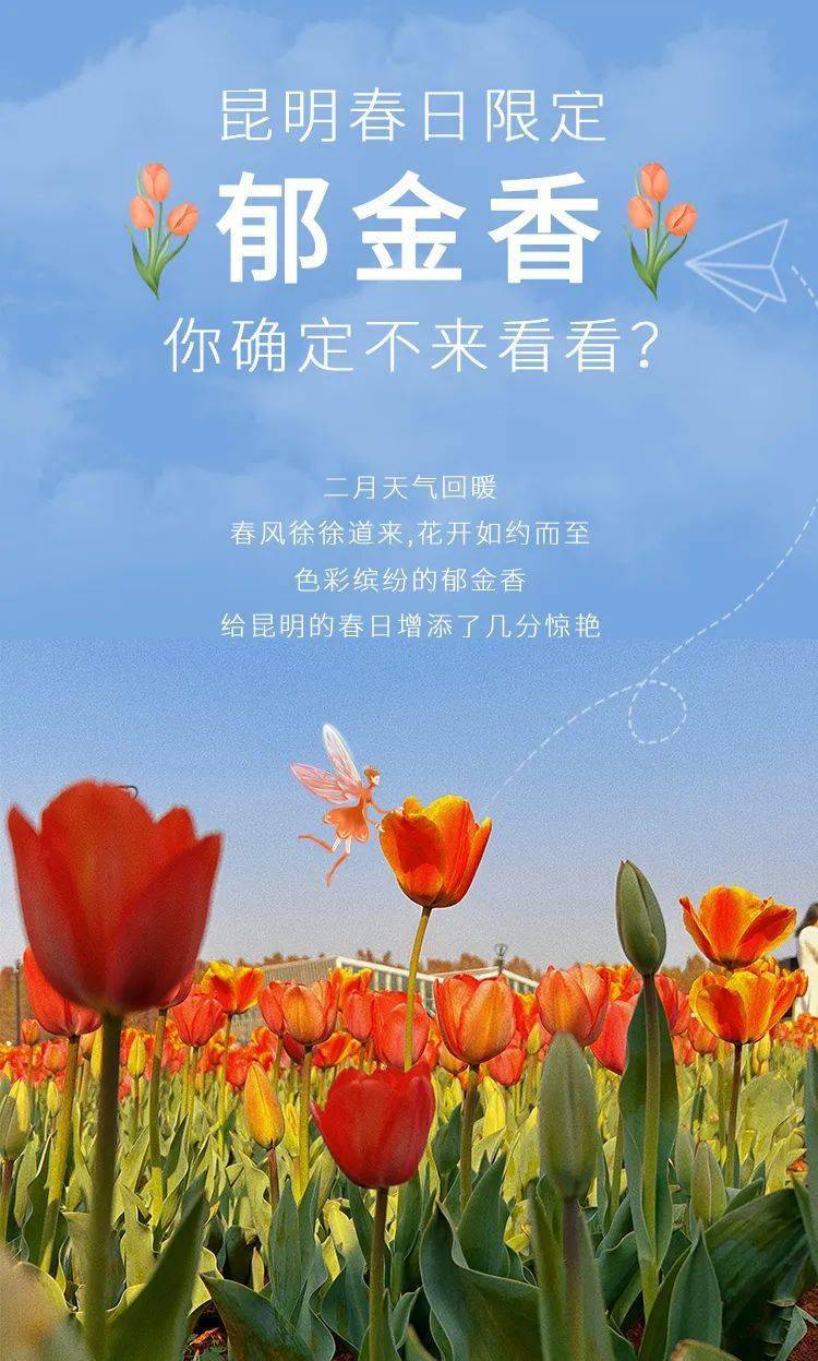 無一例外近義詞_例外的近義詞_例外近義詞是什么詞