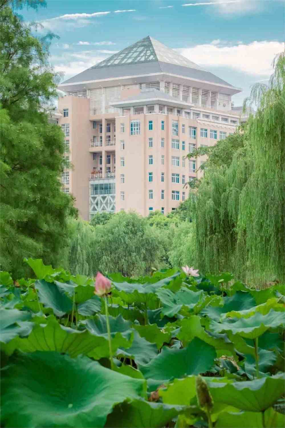 武漢科技大學武昌分校_湖北省武漢市武昌區武漢大學_武漢武昌大學是本科嗎