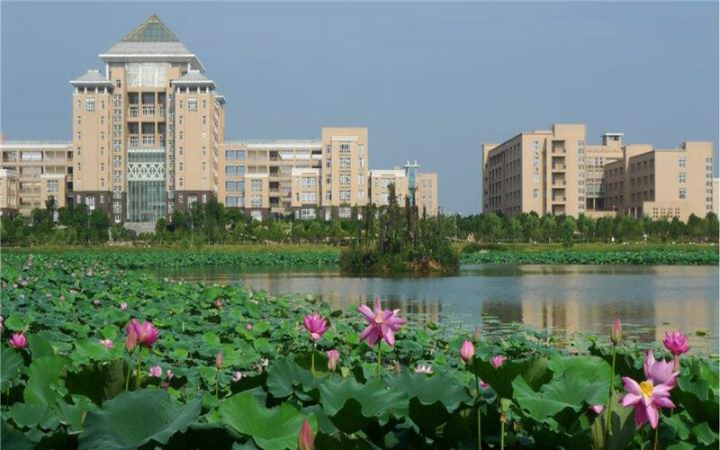 武漢武昌大學是本科嗎_武漢科技大學武昌分校_湖北省武漢市武昌區武漢大學