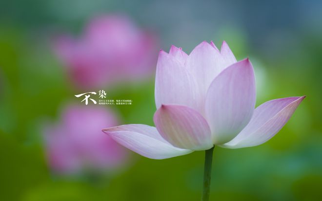 熄滅的近義詞_熄滅的近反義詞_熄滅的近義詞和反義詞