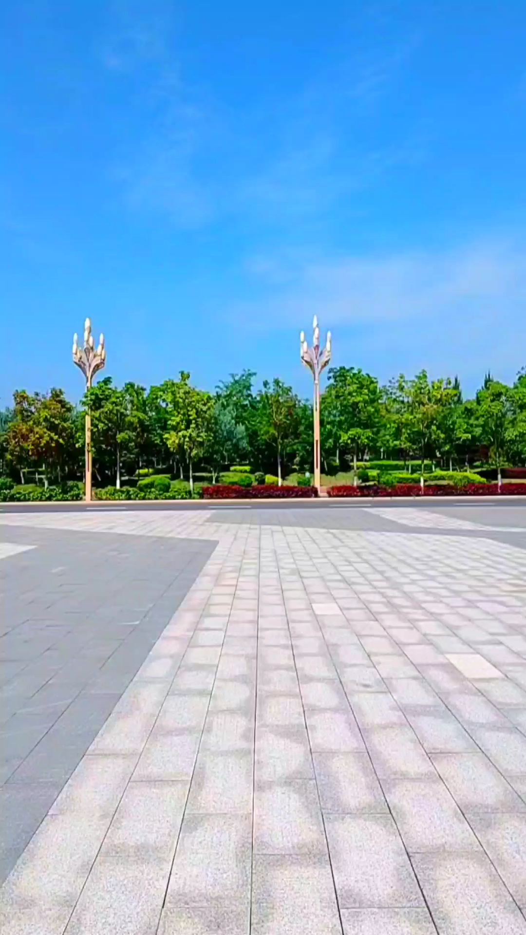 輕飛曼舞中哪個字錯了_輕飛曼舞還是輕飄漫舞_輕飛曼舞