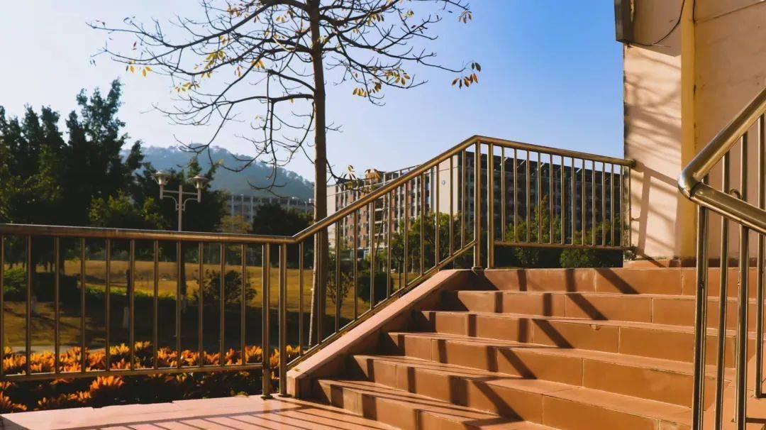 大學官網查詢錄取_仰恩大學錄取查詢_大學錄取院校查詢