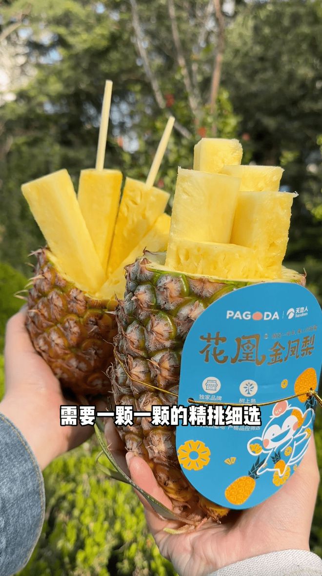 滄州市財經(jīng)學(xué)校現(xiàn)在叫什么名字_滄州財經(jīng)學(xué)校_滄州財經(jīng)學(xué)校98級
