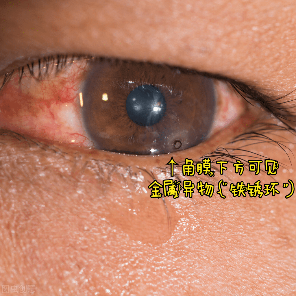 云南大學坑人的多嗎_云南最坑人的四所大學_云南大學真的很差嗎