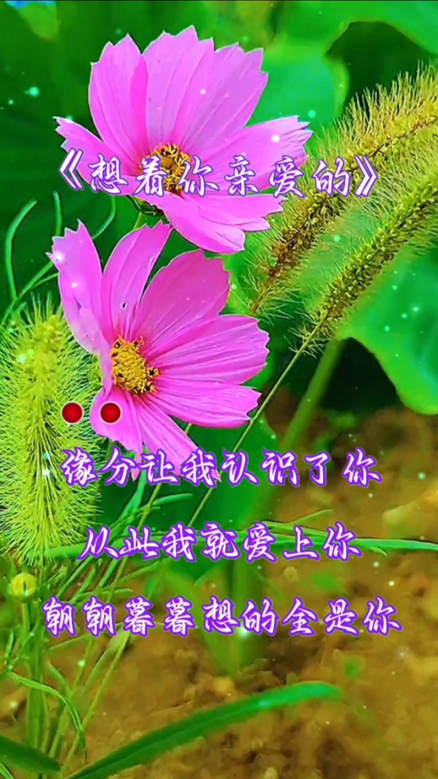 沉沒的反義詞_沉沒反義詞是什么詞_沉沒的反義詞語