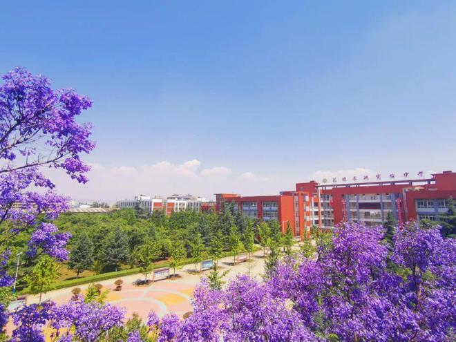 揚州中學樹人集團_揚州樹人中學集團投資方_揚州市樹人中學教育集團