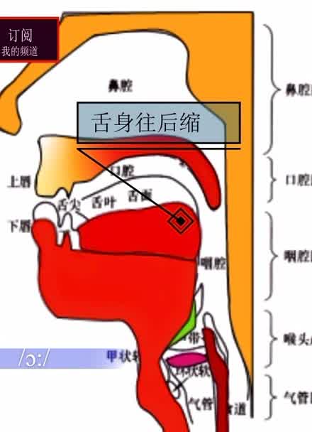 英語(yǔ)國(guó)際音標(biāo)mp3_英語(yǔ)音標(biāo)國(guó)際mp3百度云_英語(yǔ)音標(biāo)國(guó)際發(fā)音