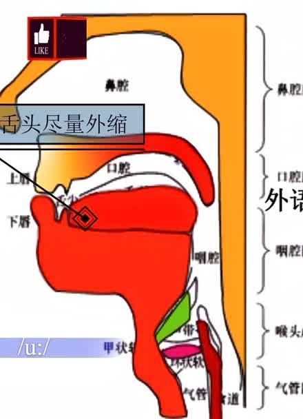 英語(yǔ)音標(biāo)國(guó)際發(fā)音_英語(yǔ)音標(biāo)國(guó)際mp3百度云_英語(yǔ)國(guó)際音標(biāo)mp3