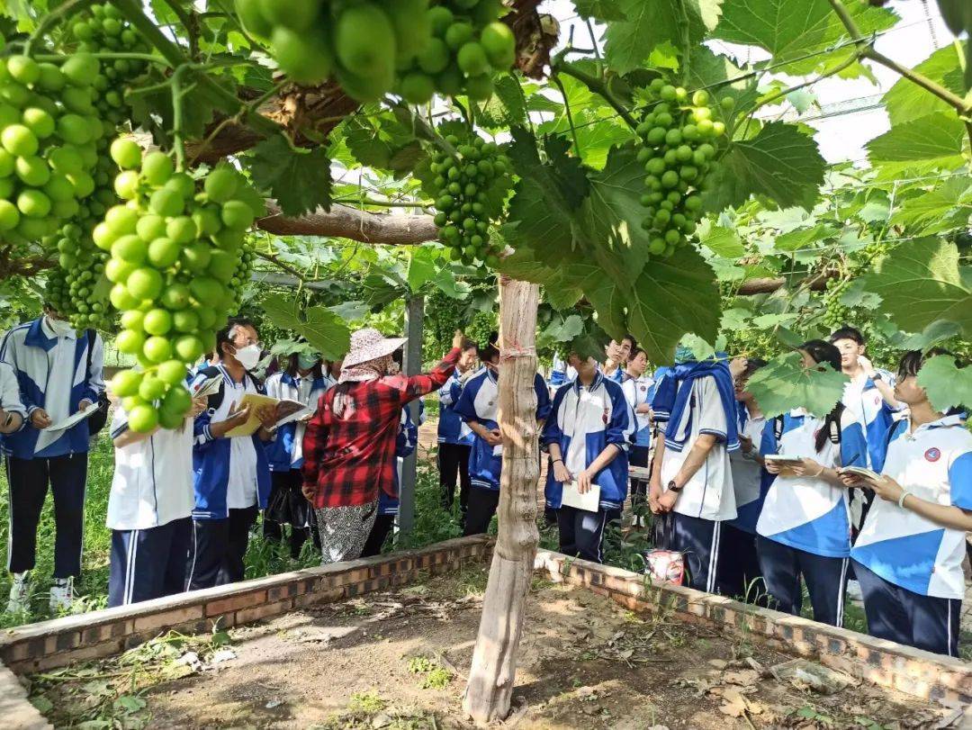 海門國際高中什么分數可以進_海門中學國際班_海門國際學校好嗎