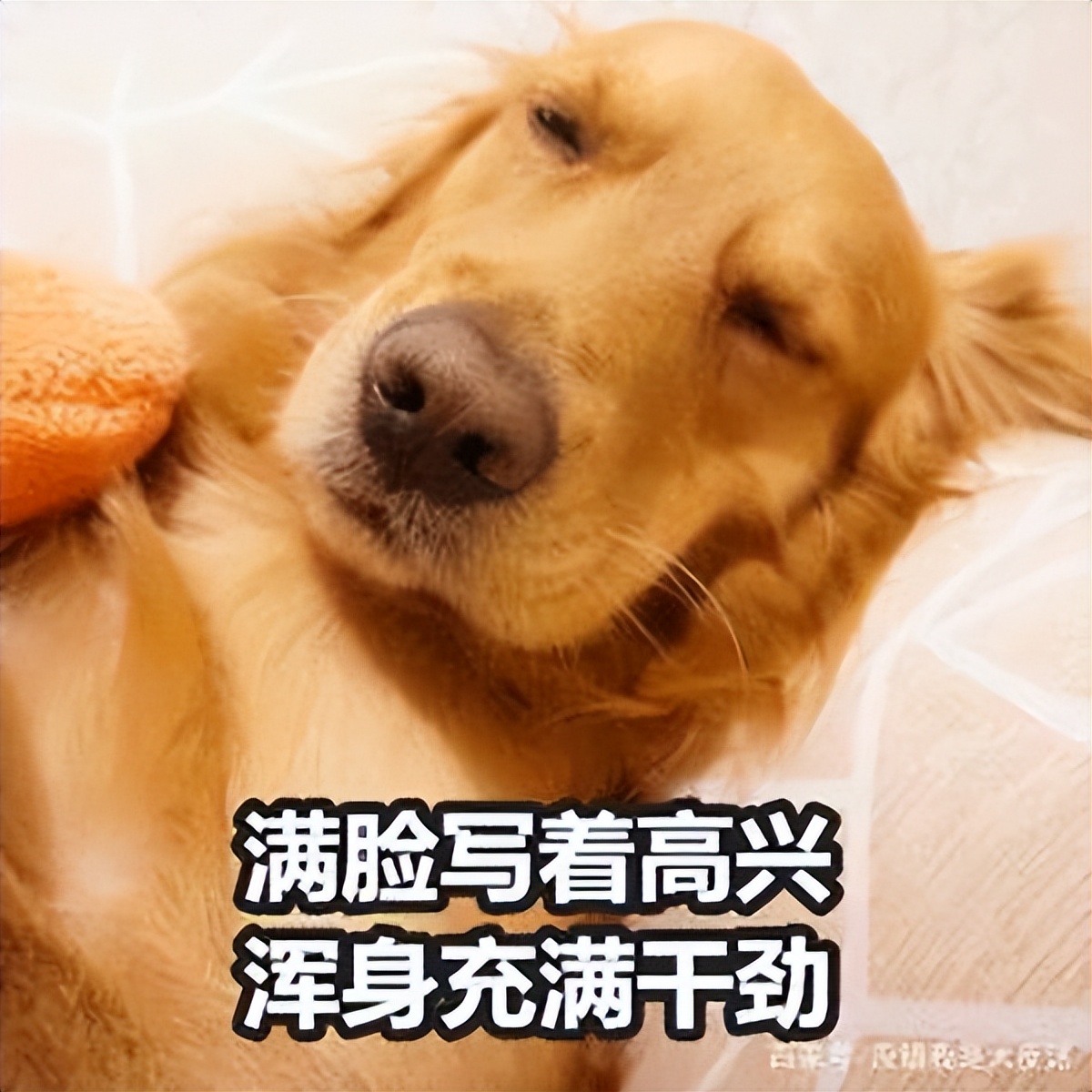 百科詞典英語怎么說_百度百科發音_