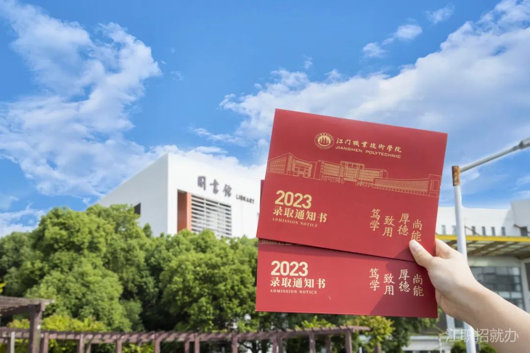 龍血鐵和龍須蘭的區(qū)別_蘭鐵小區(qū)_蘭鐵一小