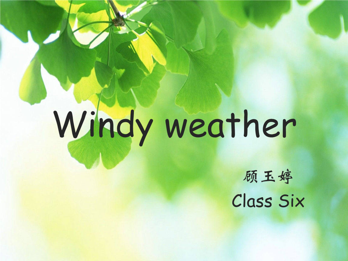 windy什么意思啊_windy的比較級意思_是什么意思windy