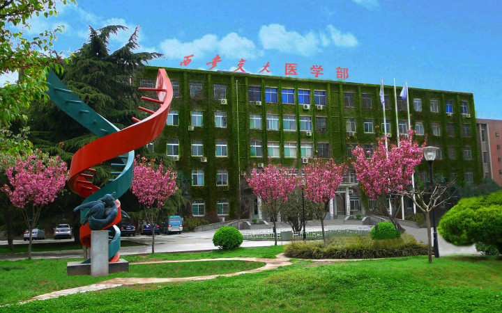 西安交通大學周筠教授_西安交通大學 周筠_西安交通大學周筠簡介