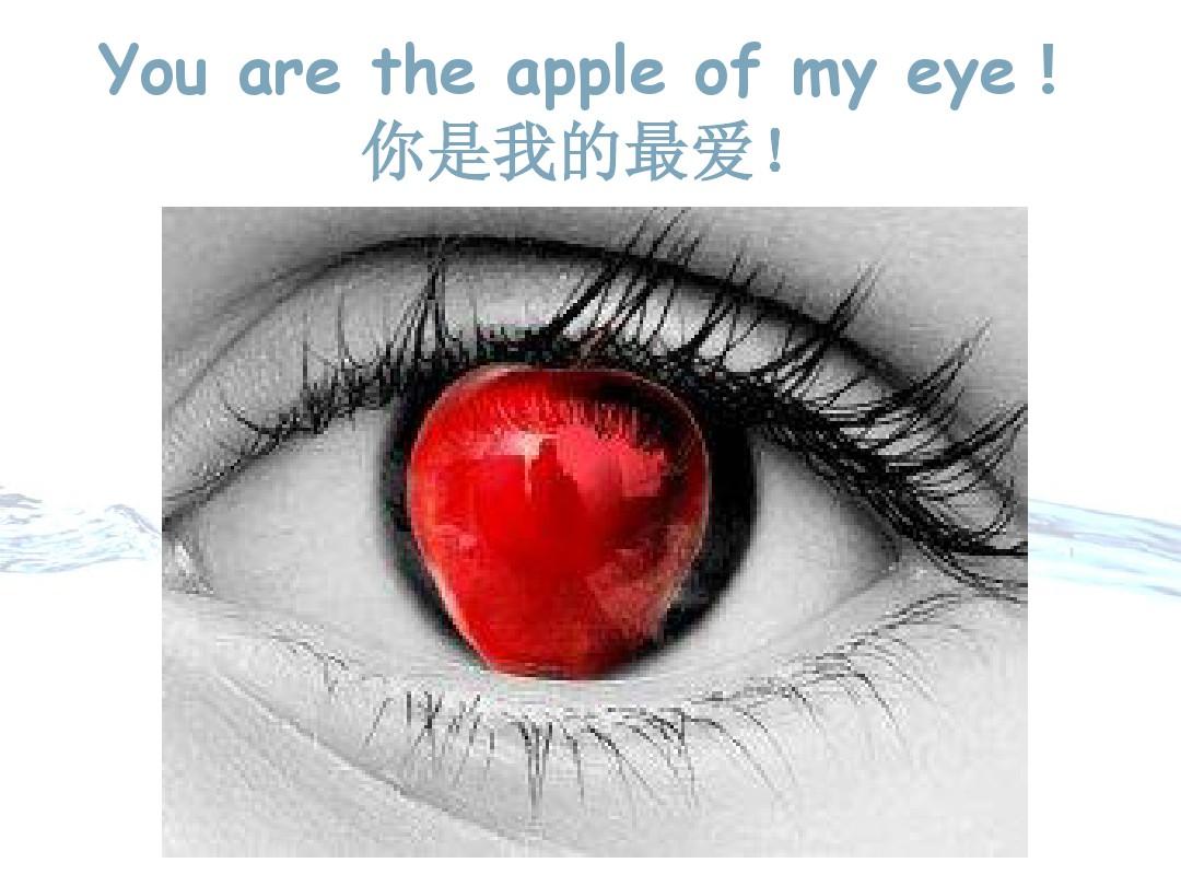 百科的英語是什么__百科詞典英語怎么說