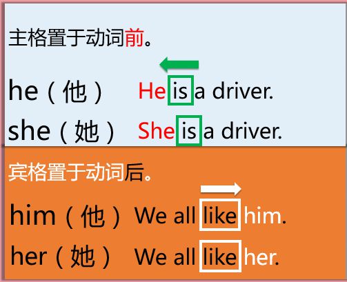 tallest用法_tallest怎么讀_thetallest
