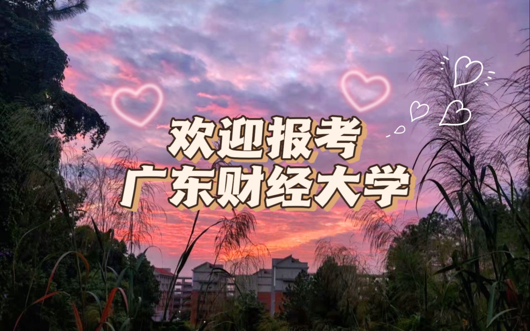華南財經學院在哪里_華南財經大學_華南財經大學全國排名