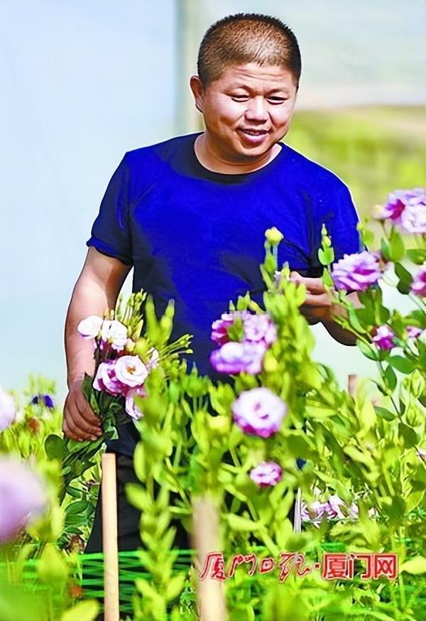 淮北師范大學招生就業(yè)處_淮北師范大學就業(yè)指導中心_淮北師范就業(yè)信息網