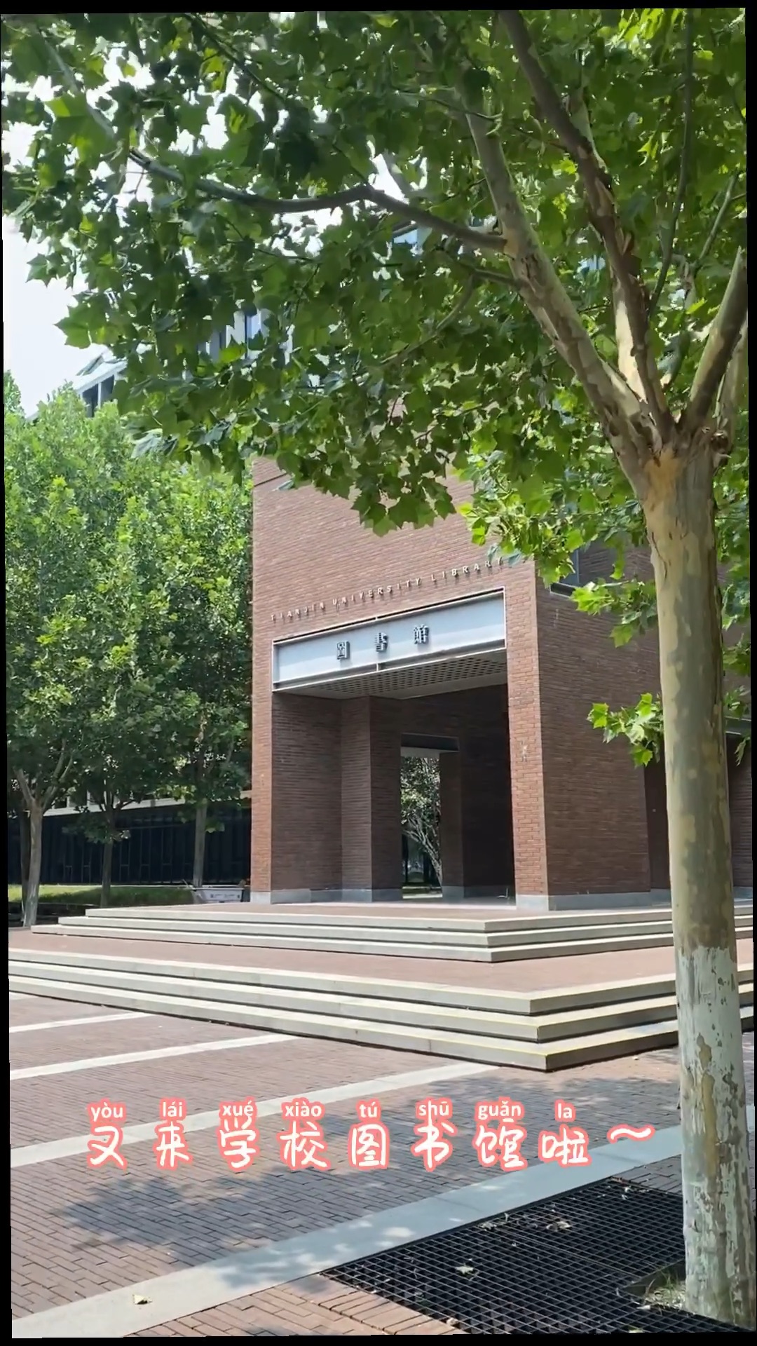 天津大學仁愛學院圖片大全_天津大學仁愛學院圖書館介紹_天津大學仁愛學院圖書館