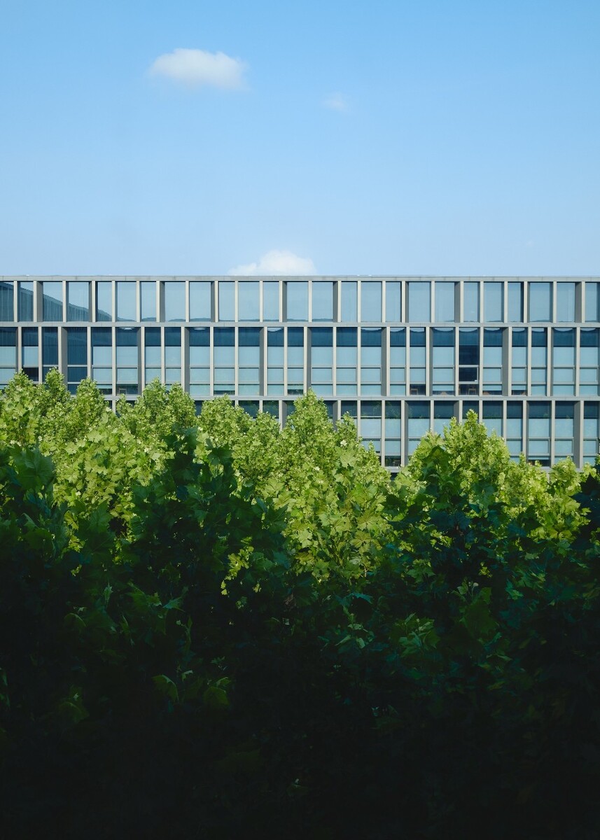 天津大學仁愛學院圖書館介紹_天津大學仁愛學院圖片大全_天津大學仁愛學院圖書館