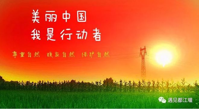 英語作文范文保護(hù)環(huán)境_保護(hù)環(huán)境英語作文加中文_